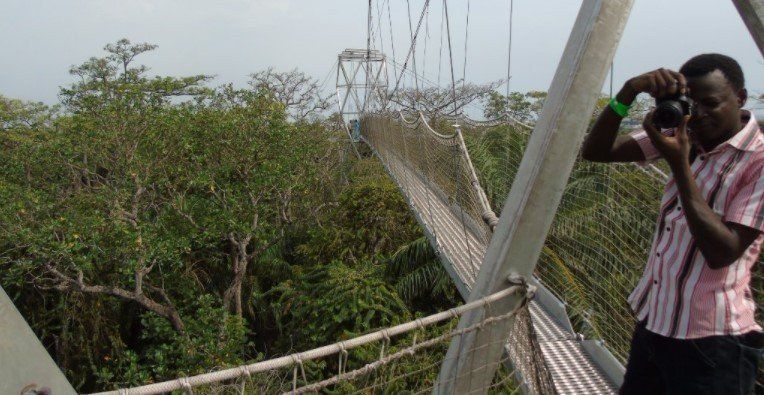 Canopy walk Lekki conservation centre, Lagos State
